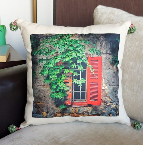 Cushion